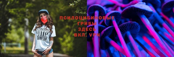 a pvp Данков