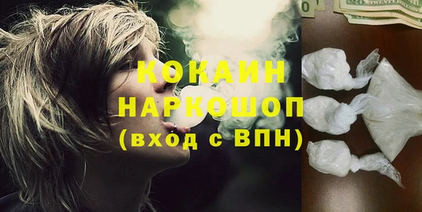 индика Грязи