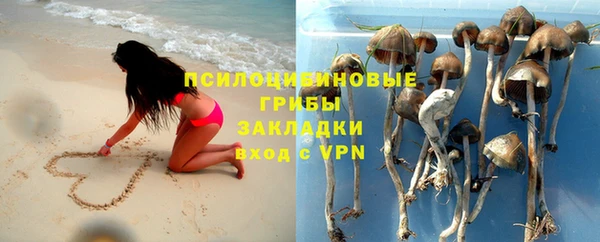 СК Балахна