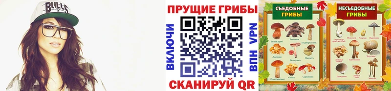 Галлюциногенные грибы GOLDEN TEACHER  Купить закладки  Боготол 